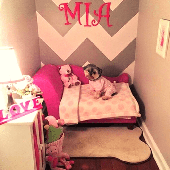 How to decorate your dog's room