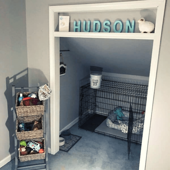 How to decorate dog room