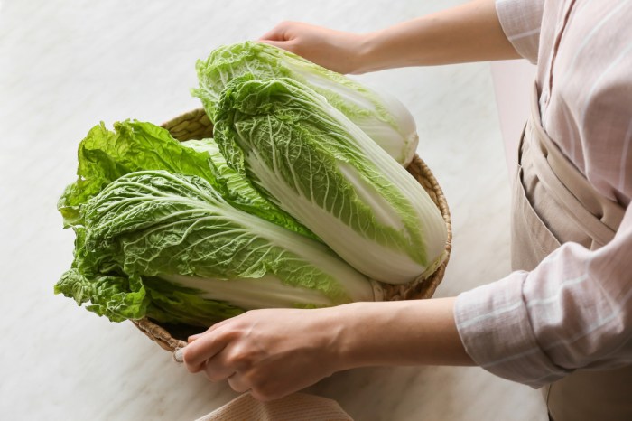 How to cook napa cabbage chinese style